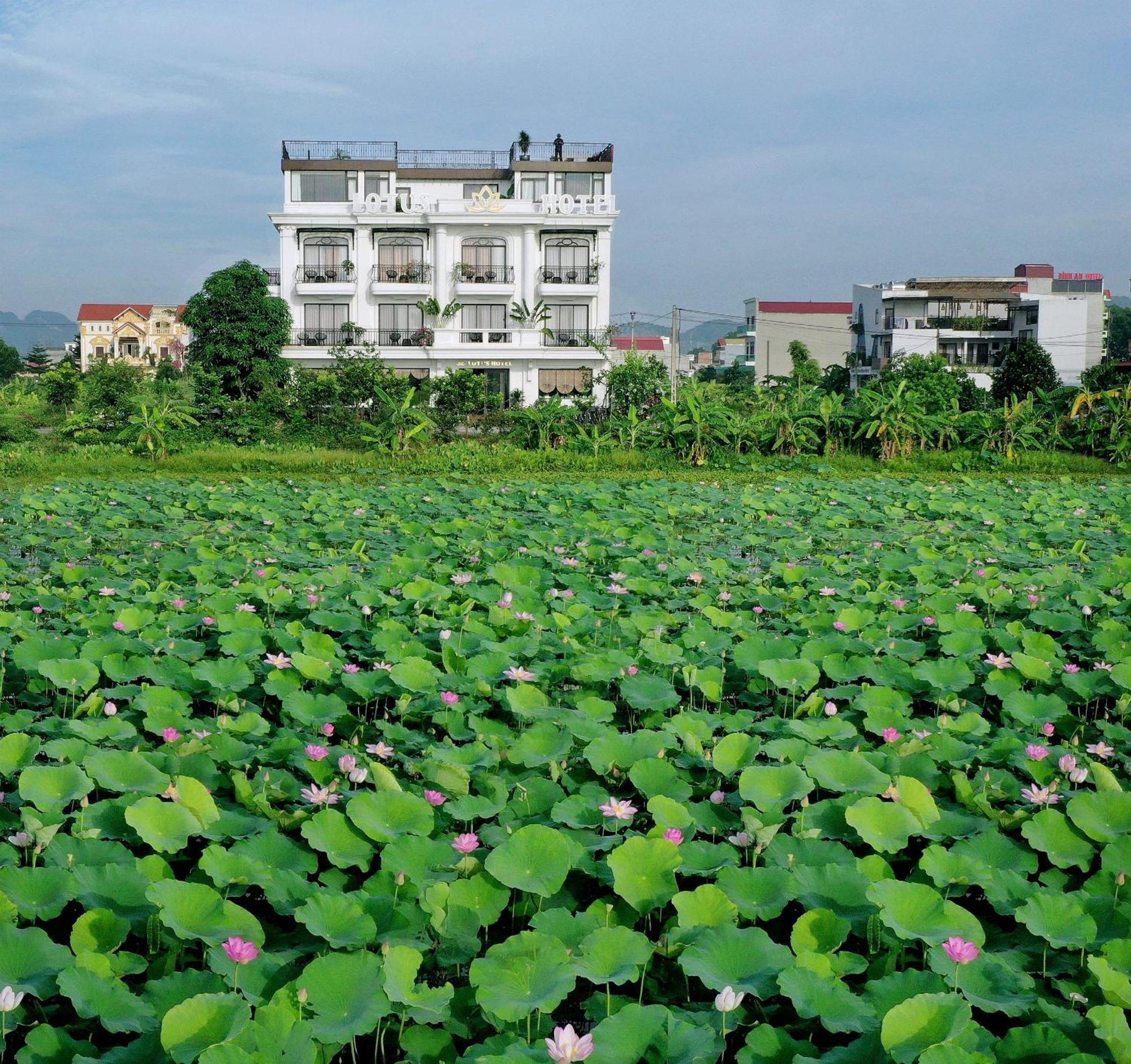 Lotus Hotel Ниньбинь Экстерьер фото